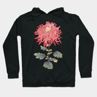 Pink Chrysanthemum 3 - Hasegawa - Traditional Japanese style - Botanical Illustration Hoodie